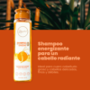 Shampoo-Con-Ginseng-Anyeluz