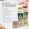 Kit-Bioterapia-Magia-Natural